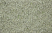 Erwten Groen 20 kg