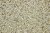 Safloorpitten- Kardizaad 4 kg