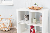 TRIXIE ligmat Harvey voor Kasten Wit/Zwart