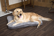 Scruffs Cosy hondenkussen L