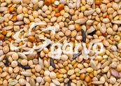 Garvo Tropical Gold <br>20 kg