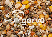 Garvo G-Spirits Sprint 20 kg