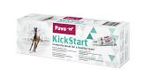Pavo Kickstart 2 x 32 ml