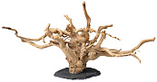 SuperFish Spiderwood on rock medium