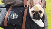 Scruffs hondentas Wilton Black