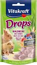 Vitakraft Drops bosbessen 75 gr