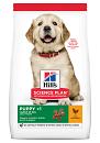 Hill's Science Plan Puppy Large Breed kip 12 kg