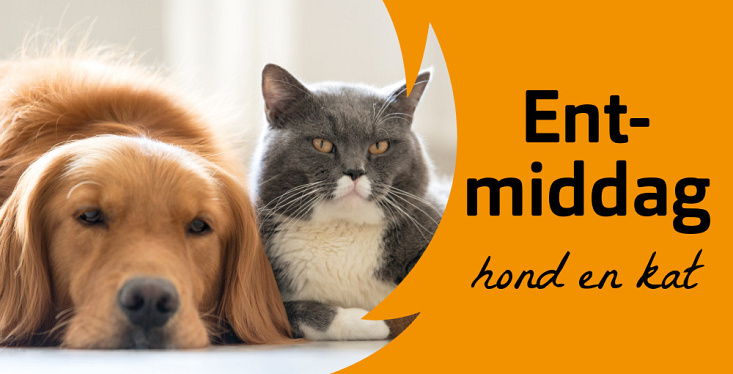 Voordelig inenten tijdens de ent-middag
