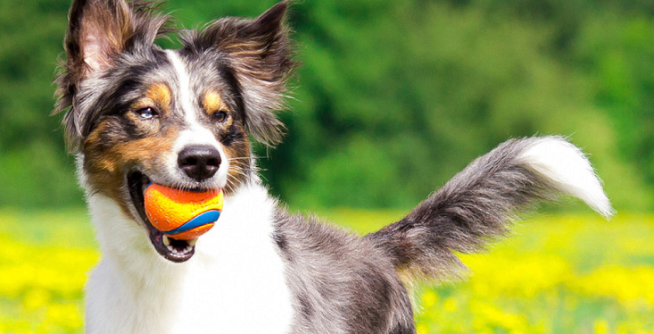 Let's Play!