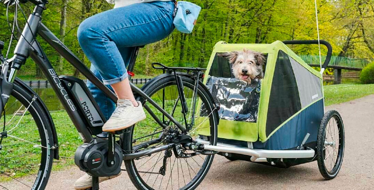 Samen op avontuur