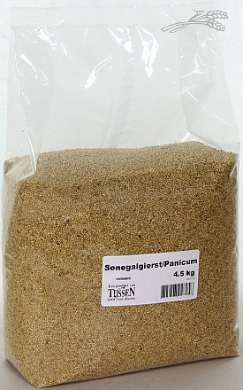 Senegalgierst - Panicum 4,5 kg