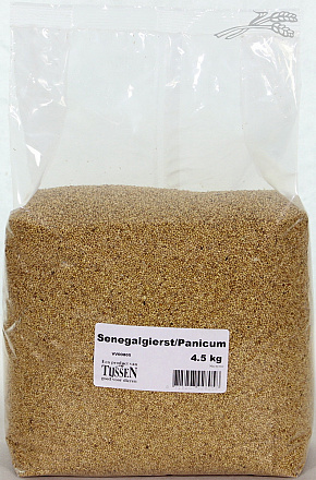 Senegalgierst - Panicum 4,5 kg