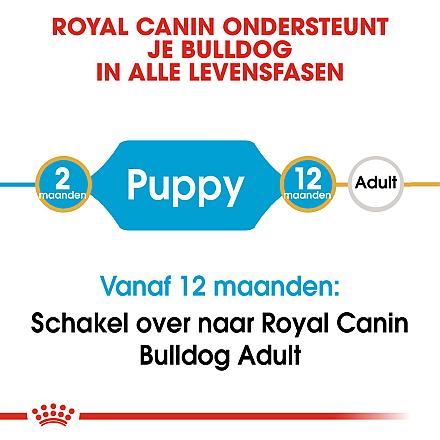 Royal Canin hondenvoer Bulldog Puppy 3 kg