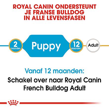 Royal Canin hondenvoer French Bulldog Puppy 10 kg