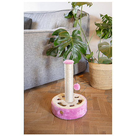 Beeztees Krabpaal Hide & Seek Gotcha