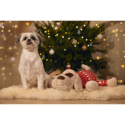 Beeztees Hondenspeelgoed Kerst XL knuffel Comet