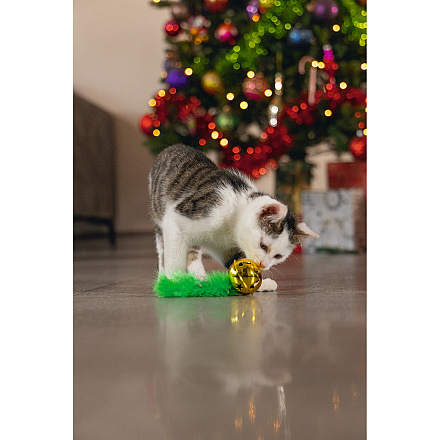 Beeztees Kattenspeelgoed Kerstbel met Veer Groen