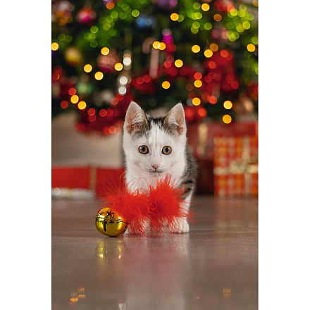 Beeztees Kattenspeelgoed Kerstbel met Veer Rood