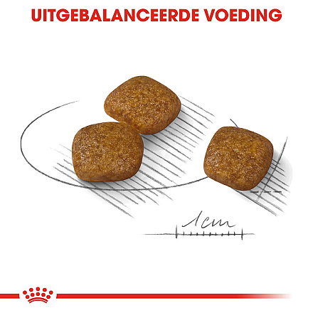 Royal Canin Hondenvoer Urinary Care Mini 8 kg