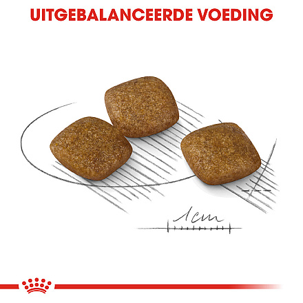 Royal Canin Hondenvoer Relax Care Mini 8 kg