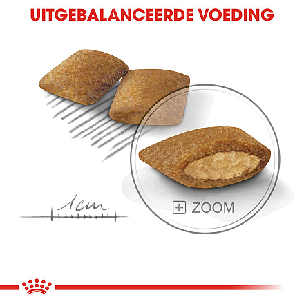 Royal Canin Hondenvoer Exigent Mini 3 kg