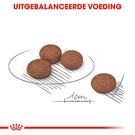 Royal Canin Hondenvoer Digestive Care Mini 1 kg