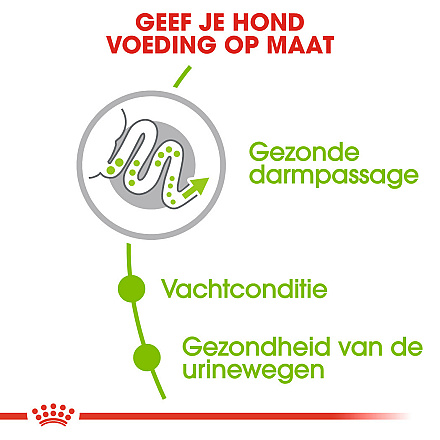 Royal Canin Hondenvoer<br> X-Small Adult 1.5 kg