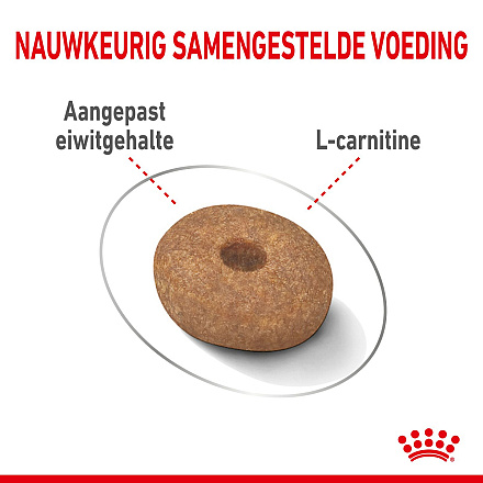 Royal Canin Hondenvoer Light Weight Care Mini 8 kg