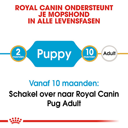 Royal Canin Hondenvoer Pug Puppy 1,5 kg