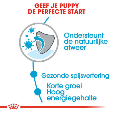 Royal Canin Hondenvoer Medium Puppy 10 kg