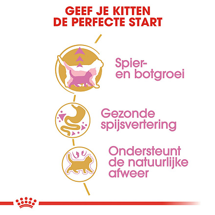 Royal Canin kattenvoer British Shorthair Kitten 10 kg