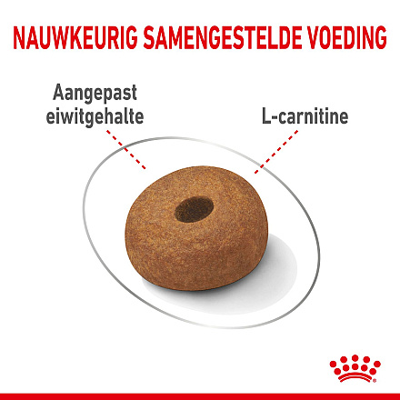Royal Canin Hondenvoer Light Weight Care Maxi 3 kg