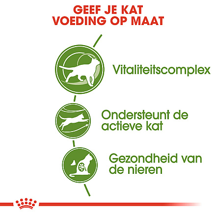 Royal Canin Kattenvoer Outdoor 7+ 10 kg