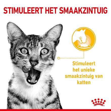 Royal Canin Kattenvoer Sensory Taste in gravy 12 x 85 gr