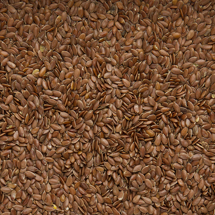 Deli Nature Lijnzaad <br>20 kg
