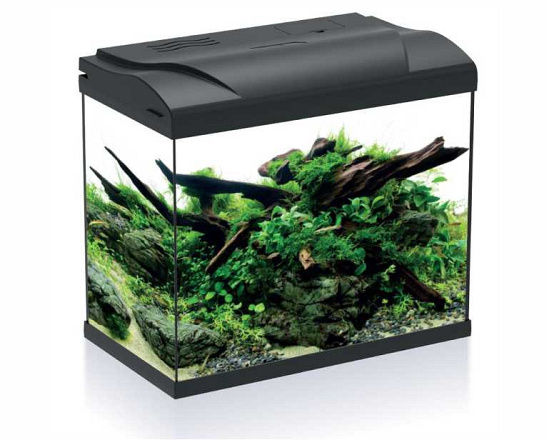 HS Aqua aquarium Platy 30 LED Zwart