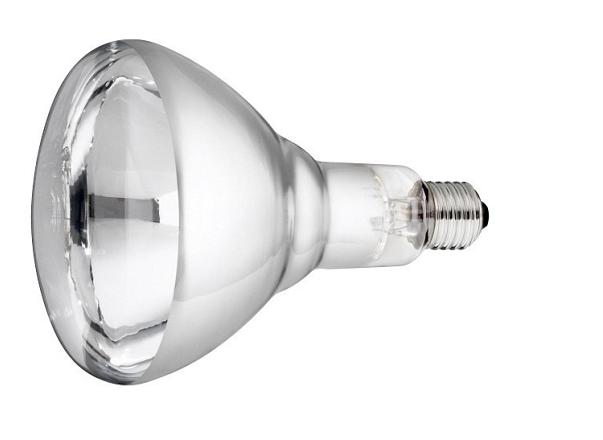Lamp 250 w/wit Hard Glas Philips