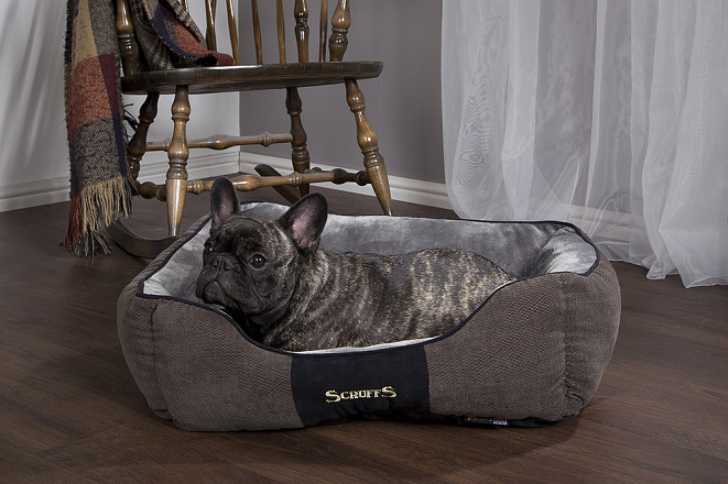Scruffs Chester Box Bed 