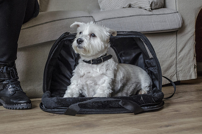 Innopet draagtas Hond Carry-Me Sleeper heather grey