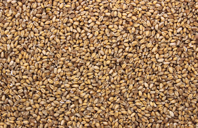 Tarwe 20 kg