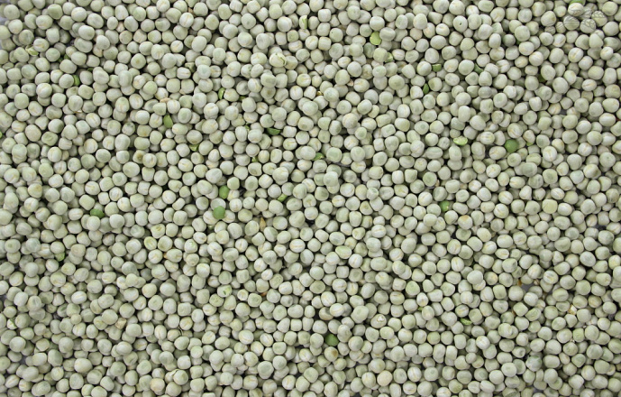 Erwten Groen 20 kg