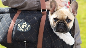 Scruffs hondentas Wilton Black