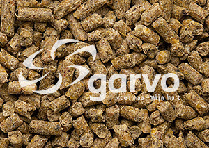 Garvo Ras Jonge Hanenkorrel 20 kg