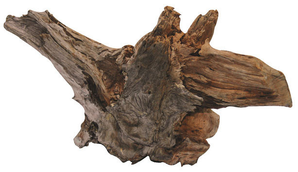 SuperFish Driftwood super large