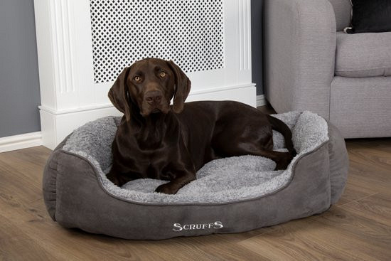 Scruffs Cosy Box Bed