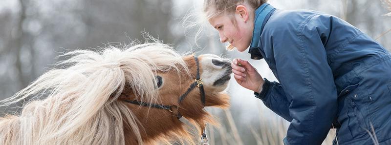 Paardendekens wassen